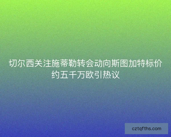 切尔西关注施蒂勒转会动向斯图加特标价约五千万欧引热议